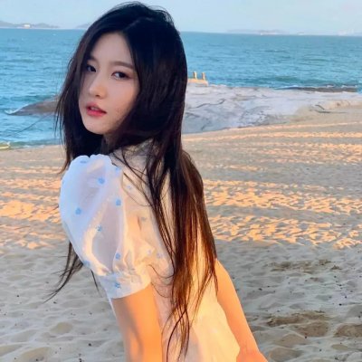 生命的圆圈 海报